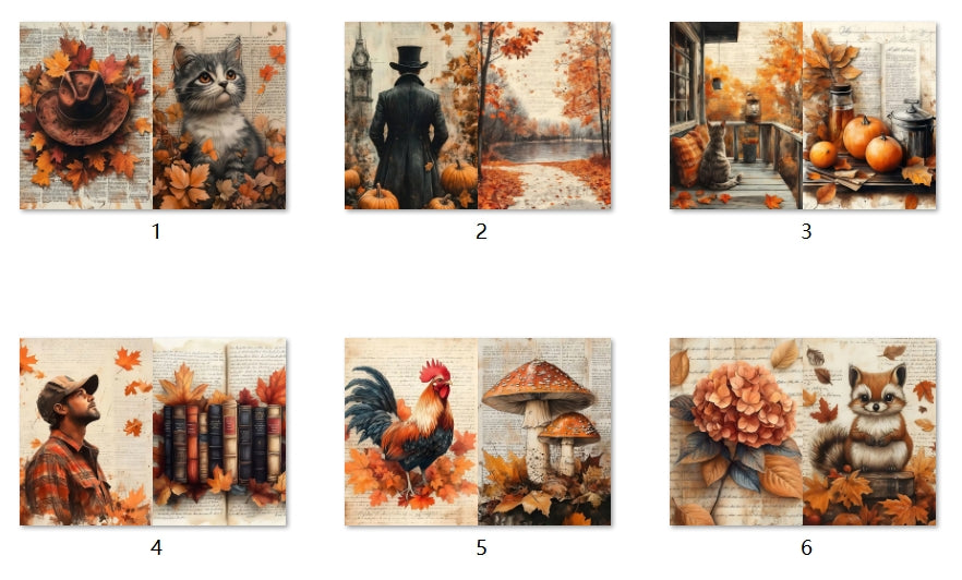 B254-B263 background paper B262 6pcs (A5 size)